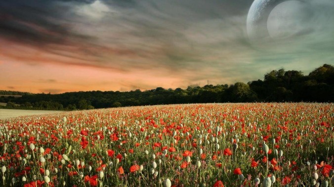 1MB其实是一个很大的存储单位，那么它的存储容量究竟有多大？